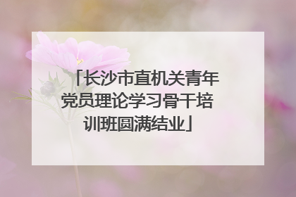 长沙市直机关青年党员理论学习骨干培训班圆满结业