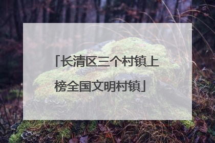 长清区三个村镇上榜全国文明村镇