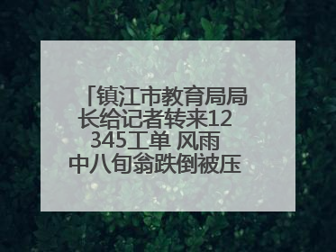 镇江市教育局局长给记者转来12345工单 风雨中八旬翁跌倒被压电瓶车下，扶不扶？镇江高职学子选择令人钦佩