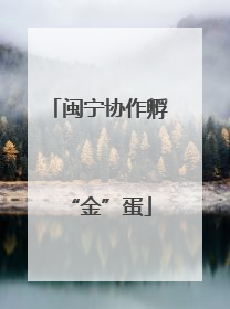 闽宁协作孵“金”蛋