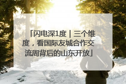 闪电深1度｜三个维度，看国际友城合作交流周背后的山东开放