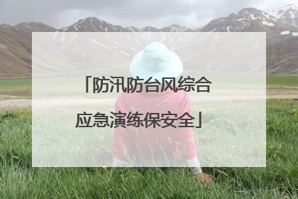 防汛防台风综合应急演练保安全
