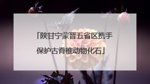 陕甘宁蒙晋五省区携手保护古脊椎动物化石