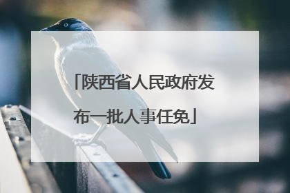 陕西省人民政府发布一批人事任免