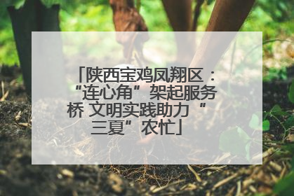 陕西宝鸡凤翔区：“连心角”架起服务桥 文明实践助力“三夏”农忙