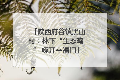 陕西府谷镇黑山村：林下“生态鸡” 啄开幸福门