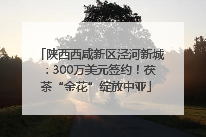 陕西西咸新区泾河新城：300万美元签约！茯茶“金花”绽放中亚