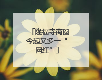 隆福寺商圈今起又多一“网红”