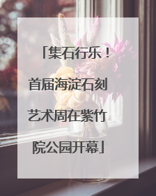 集石行乐！首届海淀石刻艺术周在紫竹院公园开幕