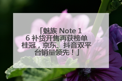 魅族 Note 16 补货开售再获榜单桂冠，京东、抖音双平台销量领先！