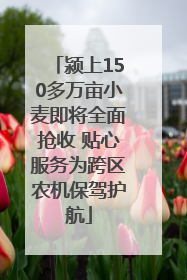 颍上150多万亩小麦即将全面抢收 贴心服务为跨区农机保驾护航