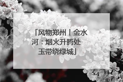 风物郑州丨金水河：烟火升腾处 玉带绕绿城