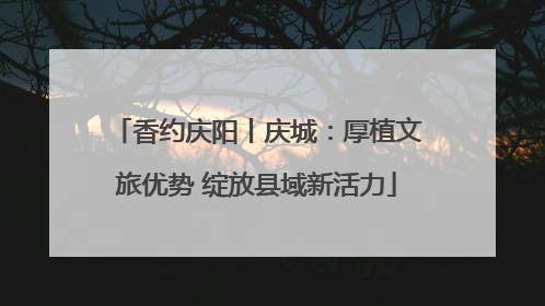 香约庆阳丨庆城：厚植文旅优势 绽放县域新活力