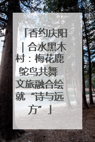 香约庆阳｜合水黑木村：梅花鹿鸵鸟共舞 文旅融合绘就“诗与远方”