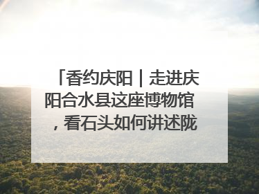 香约庆阳｜走进庆阳合水县这座博物馆，看石头如何讲述陇东千年历史