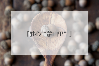 驻心“蒙山里”
