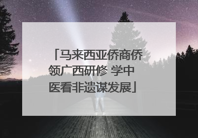 马来西亚侨商侨领广西研修 学中医看非遗谋发展