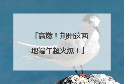 高燃！荆州这两地端午超火爆！