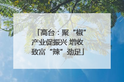 高台：聚“椒”产业促振兴 增收致富“辣”劲足