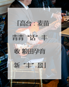 高台：麦苗青青“话”丰收 粮田孕育新“丰”景
