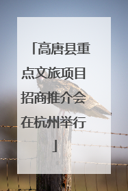 高唐县重点文旅项目招商推介会在杭州举行