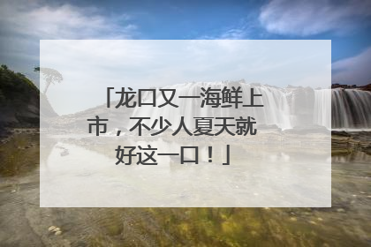 龙口又一海鲜上市，不少人夏天就好这一口！
