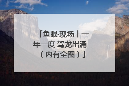 鱼眼·现场丨一年一度 驾龙出涌（内有全图）