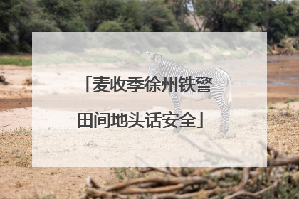 麦收季徐州铁警田间地头话安全
