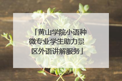 黄山学院小语种微专业学生助力景区外语讲解服务