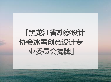 黑龙江省勘察设计协会冰雪创意设计专业委员会揭牌