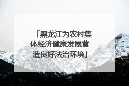 黑龙江为农村集体经济健康发展营造良好法治环境