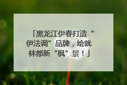 黑龙江伊春打造“伊法调”品牌，绘就林都新“枫”景！