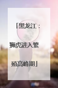 黑龙江：狮虎进入繁殖高峰期