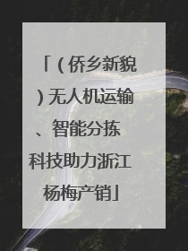 （侨乡新貌）无人机运输、智能分拣 科技助力浙江杨梅产销