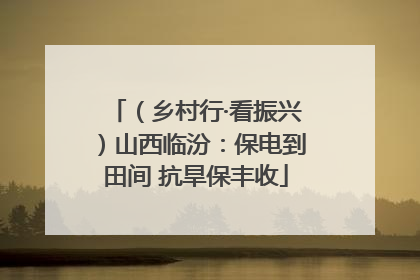 （乡村行·看振兴）山西临汾：保电到田间 抗旱保丰收