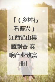 （乡村行·看振兴）江西铅山果蔬飘香 奏响产业致富曲