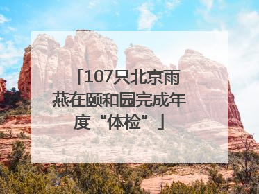 107只北京雨燕在颐和园完成年度“体检”