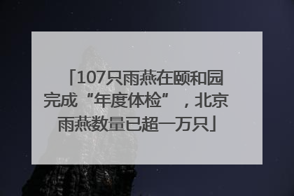 107只雨燕在颐和园完成“年度体检”，北京雨燕数量已超一万只