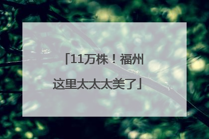 11万株！福州这里太太太美了