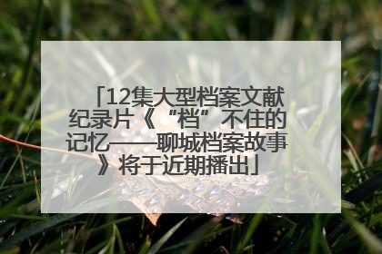 12集大型档案文献纪录片《“档”不住的记忆——聊城档案故事》将于近期播出
