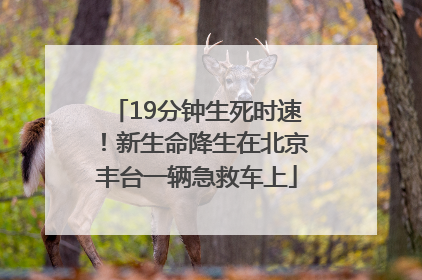 19分钟生死时速！新生命降生在北京丰台一辆急救车上