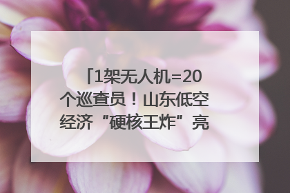 1架无人机=20个巡查员！山东低空经济“硬核王炸”亮相青岛，下一个万亿赛道藏在这里