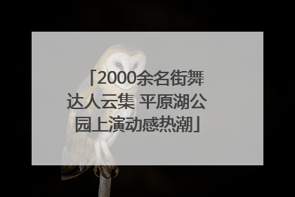2000余名街舞达人云集 平原湖公园上演动感热潮