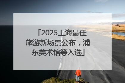 2025上海最佳旅游新场景公布，浦东美术馆等入选
