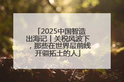 2025中国智造出海记丨关税风波下，那些在世界最前线开疆拓土的人