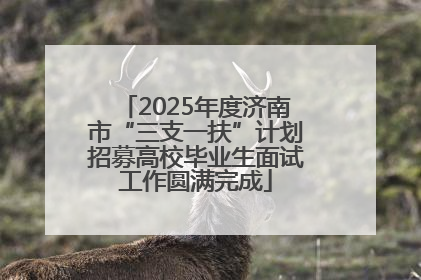 2025年度济南市“三支一扶”计划招募高校毕业生面试工作圆满完成