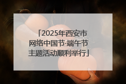 2025年西安市网络中国节·端午节主题活动顺利举行