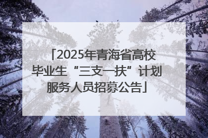 2025年青海省高校毕业生“三支一扶”计划服务人员招募公告