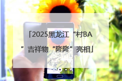 2025黑龙江“村BA”吉祥物“隆隆”亮相