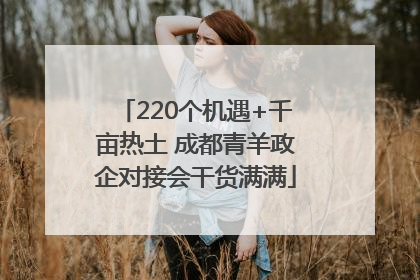 220个机遇+千亩热土 成都青羊政企对接会干货满满